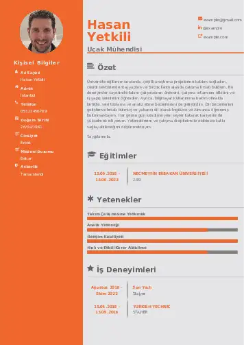 Havacılık Ve Uzay Uçak Mühendisi Cv Örnekleri cv indir